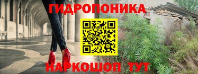 стафф Кимры