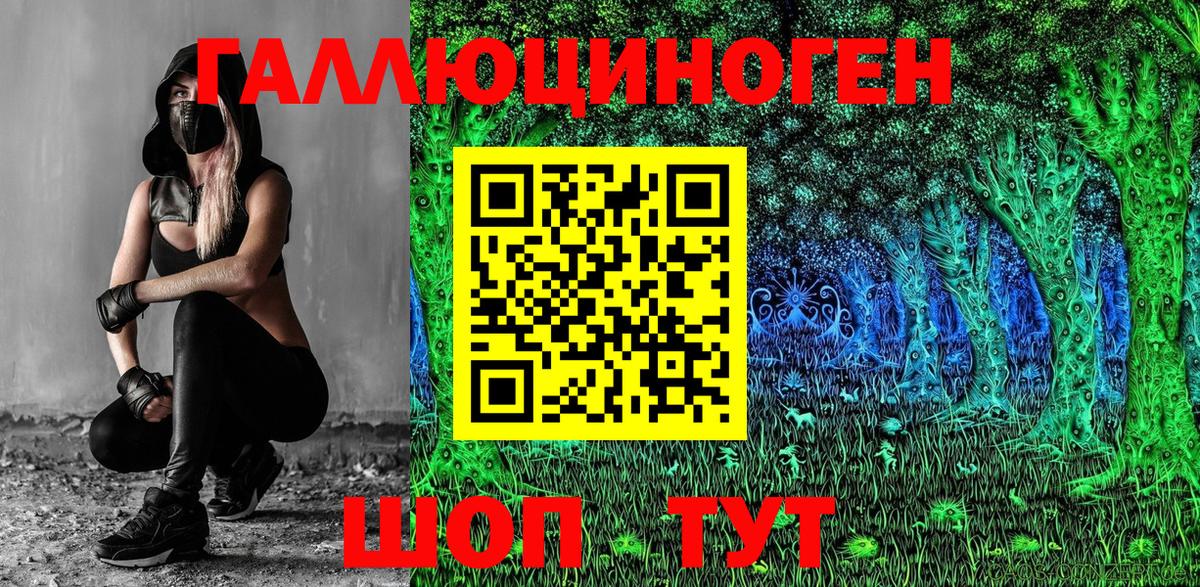 Псилоцибиновые грибы GOLDEN TEACHER  Галлюциногенные грибы Psilocybine cubensis  Вход с VPN  Лесозаводск 